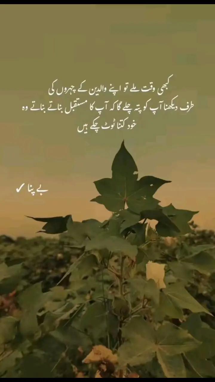@Allah is  Tha best