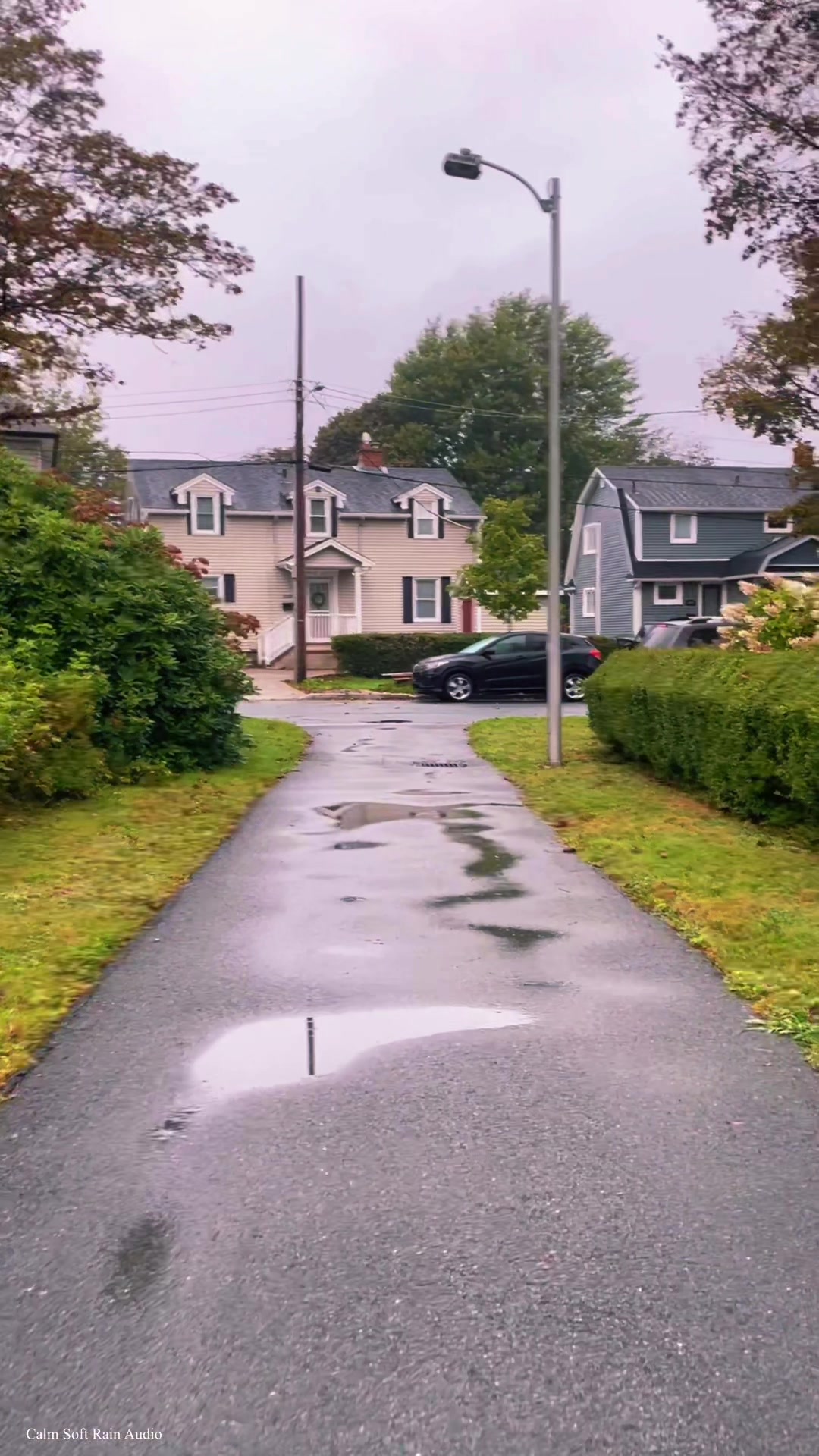 @Calm Soft Rain Audio