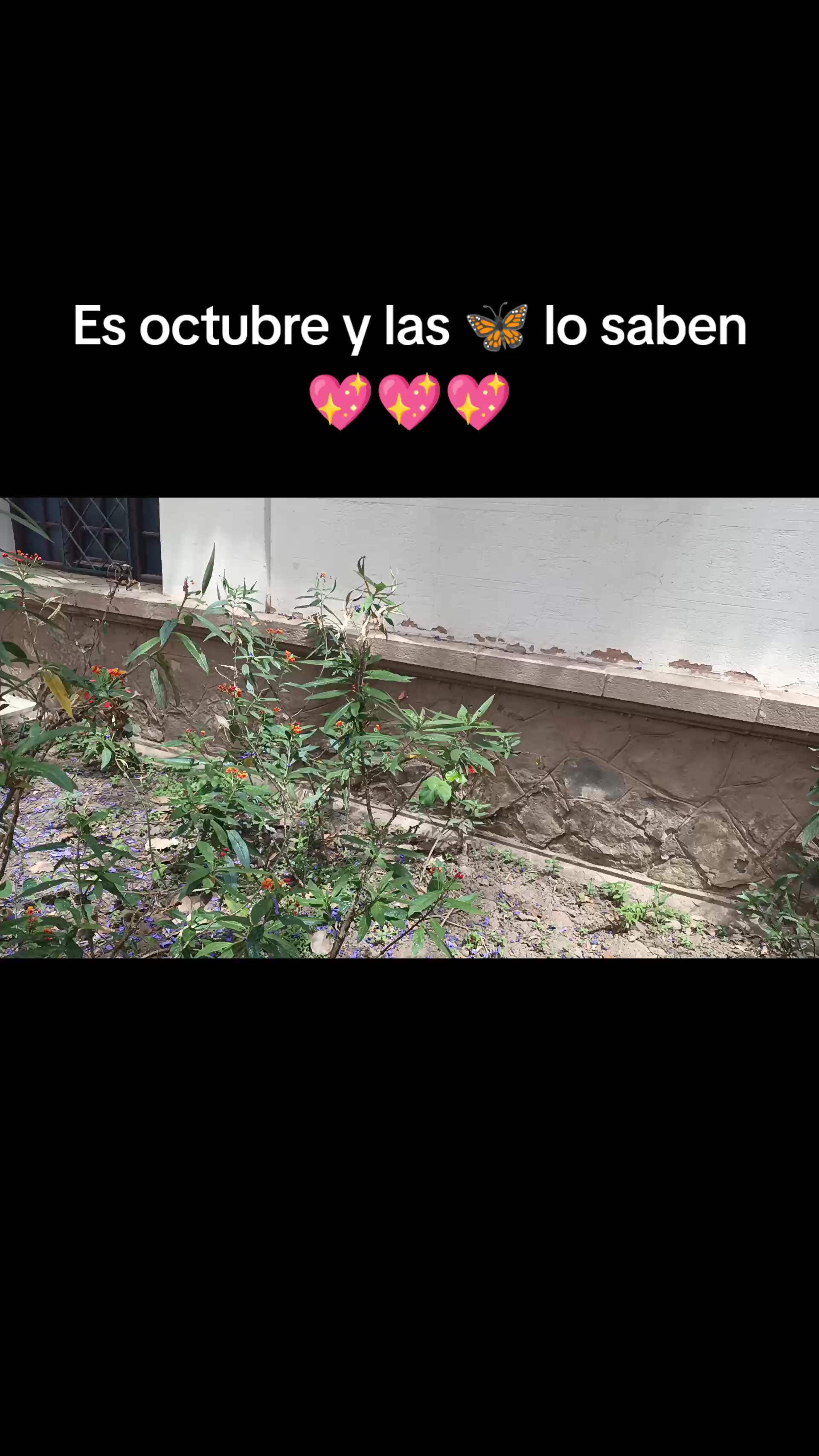@Maite H Rojas