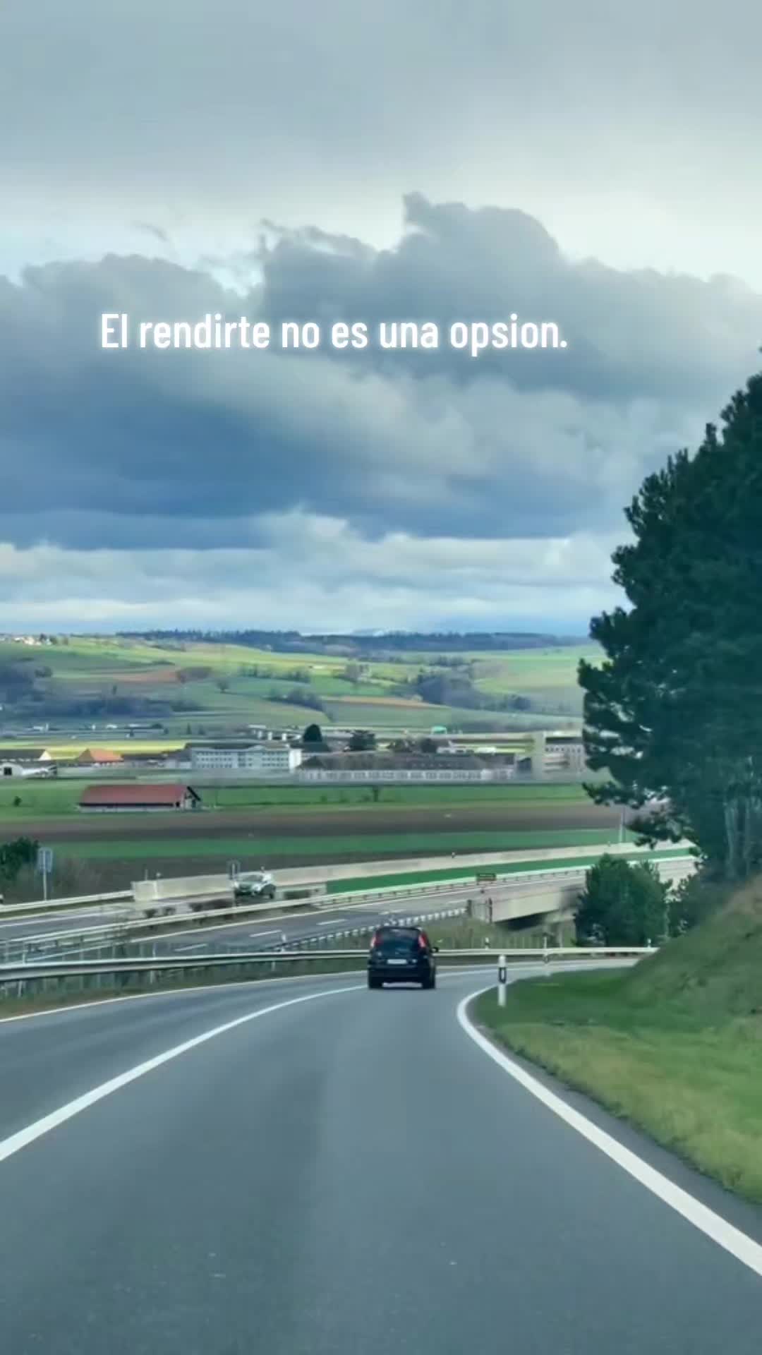 @manuelelvick🎶🕊