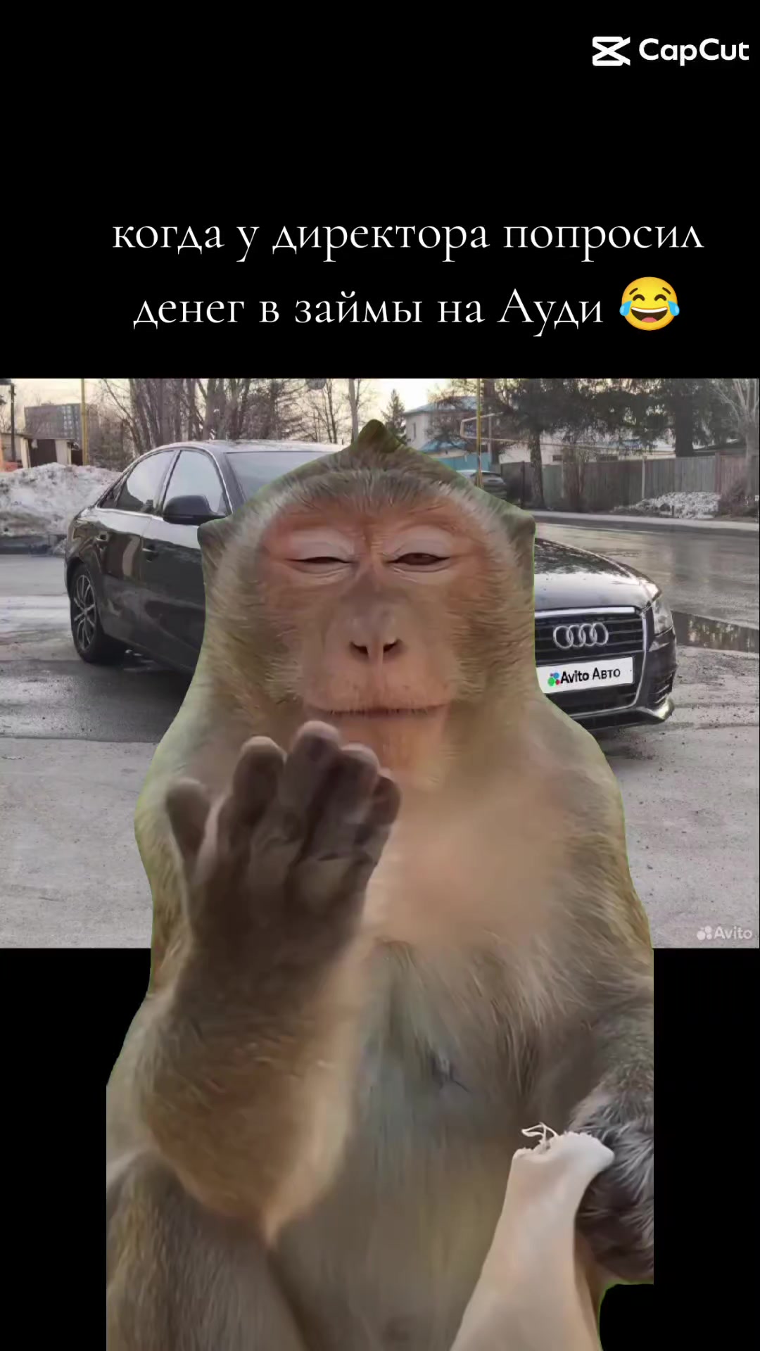 @Александер