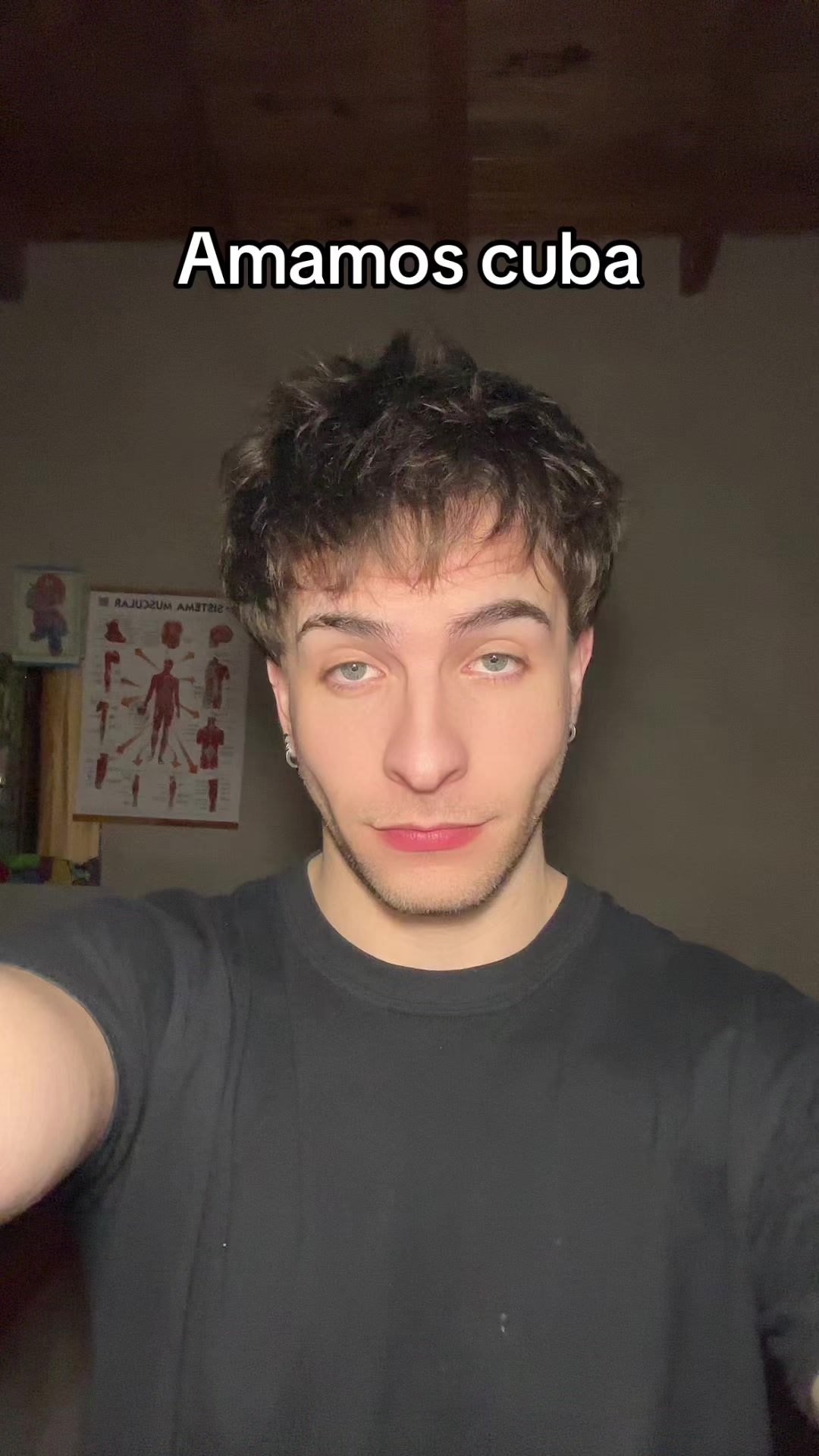 @Mirko