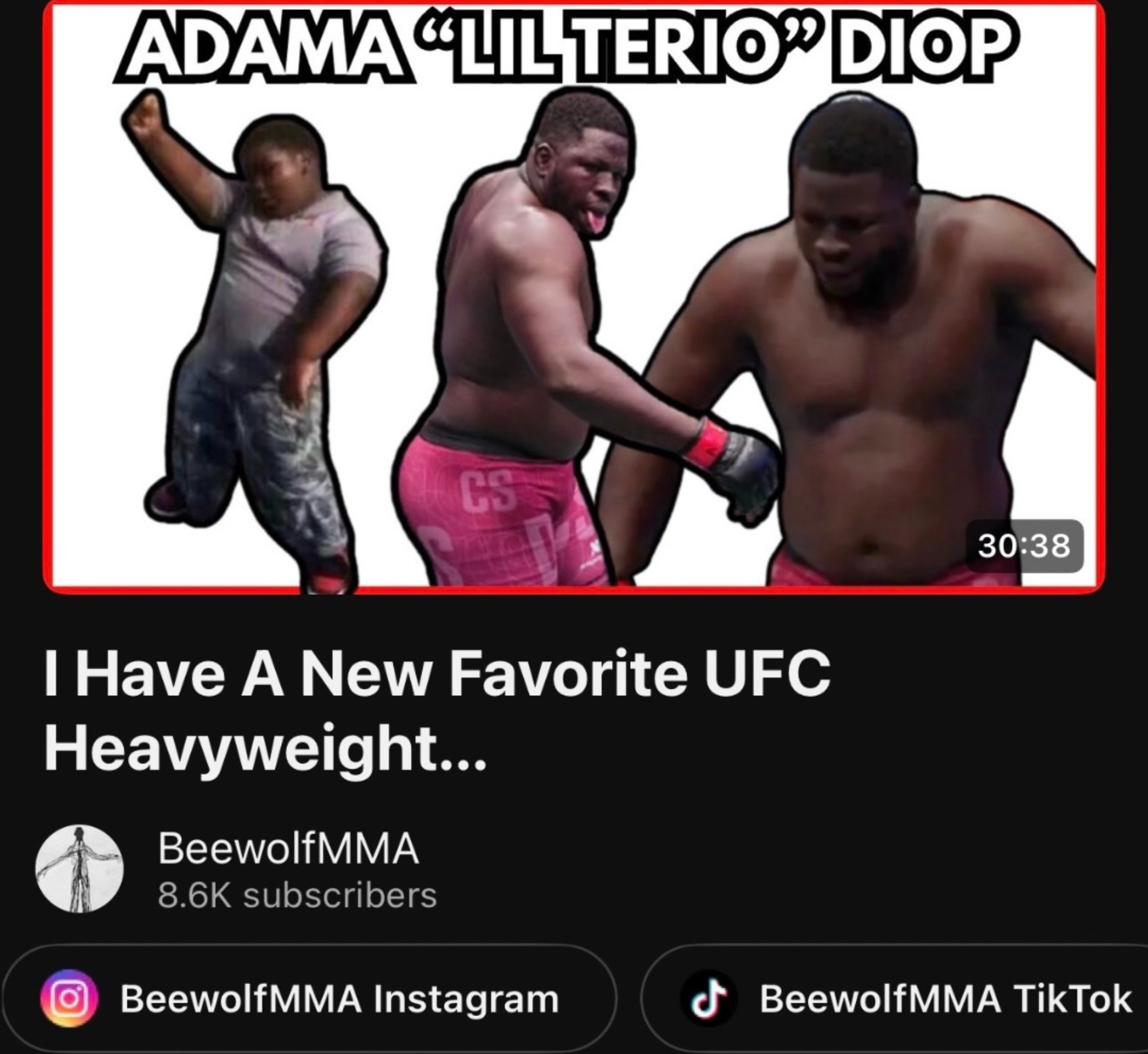 @BeewolfMMA