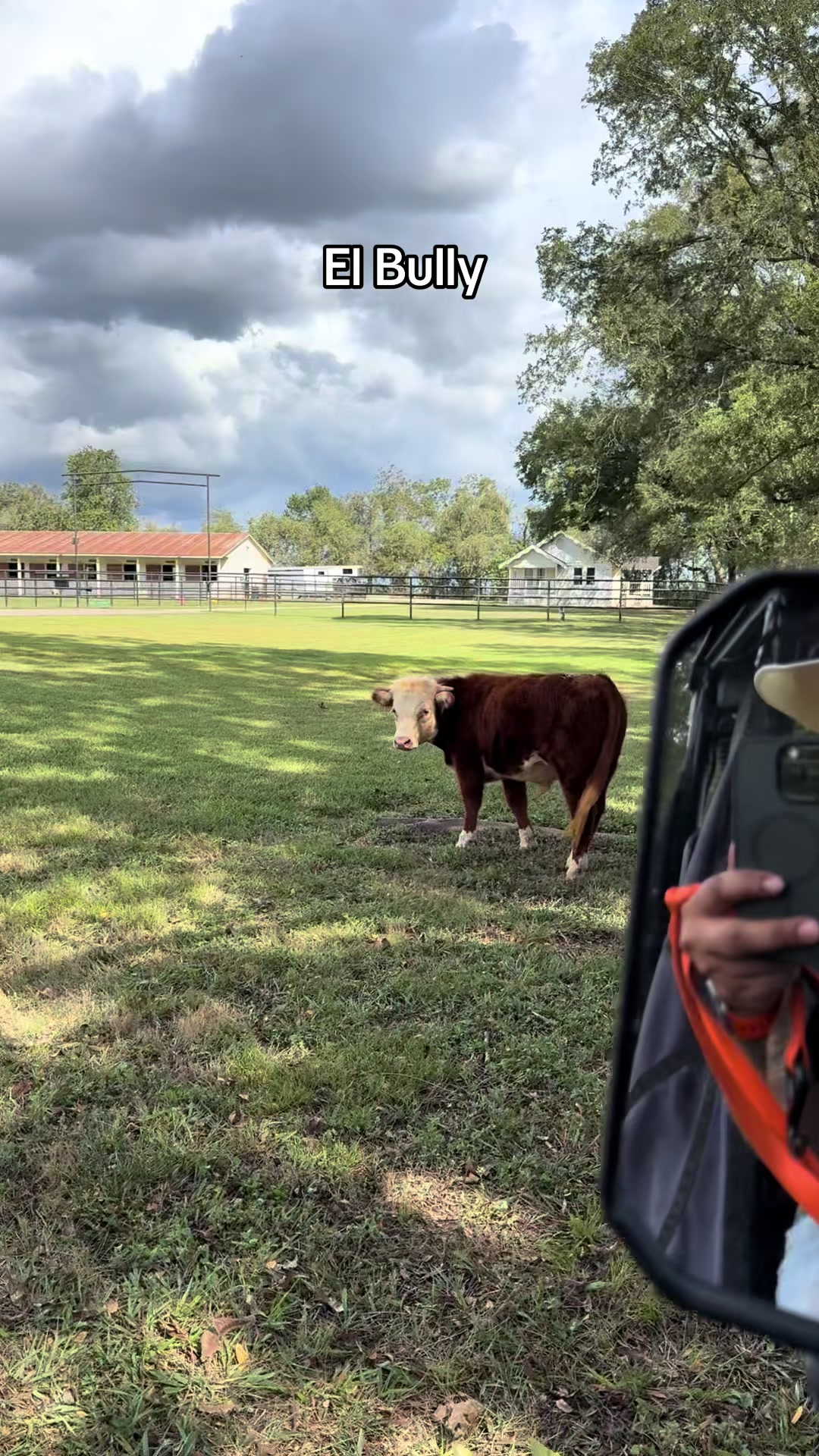 @Chepo- Ranch Hand