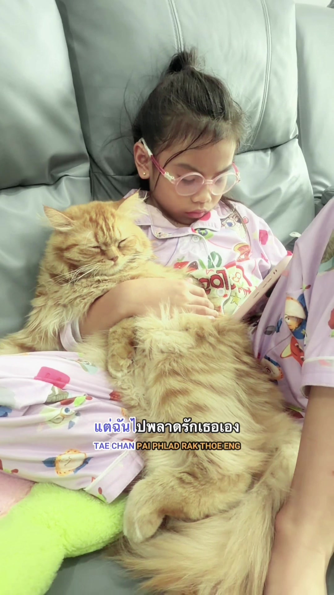 @ฟ้าใส☁️🩵