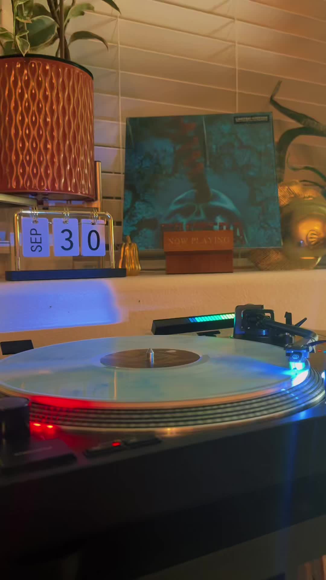 @Vinyl Daily Plays