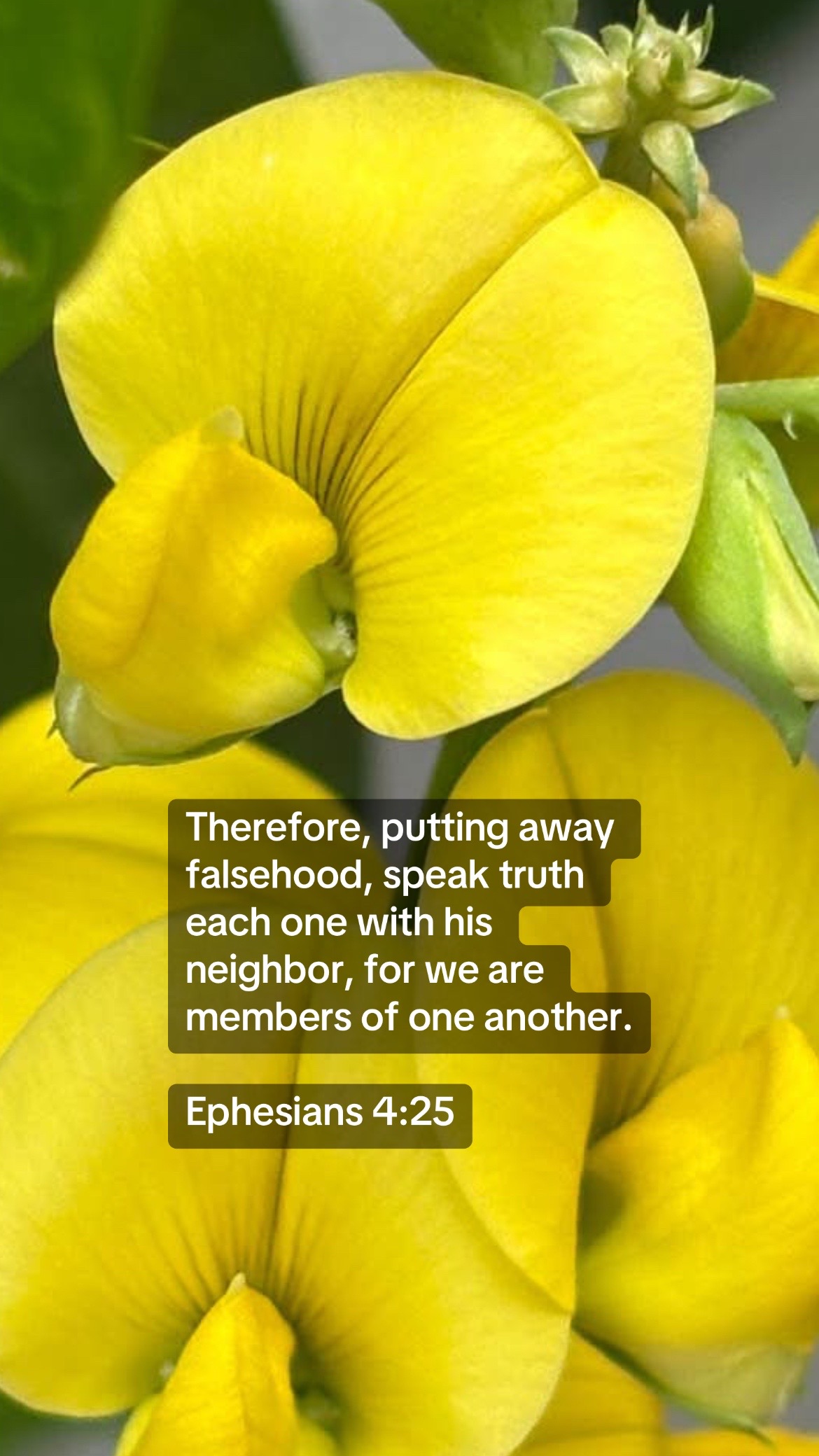 @forgiven_disciple
