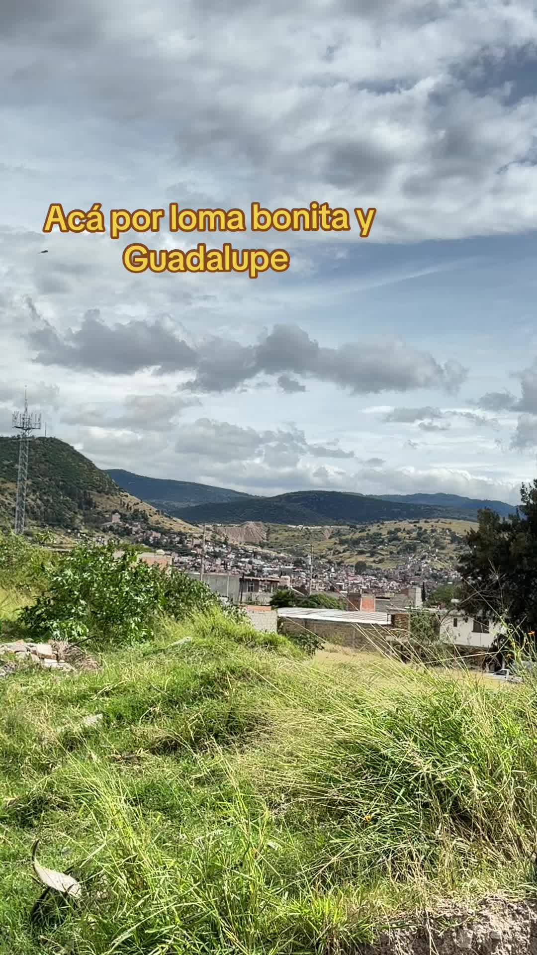@Antony Saavedra