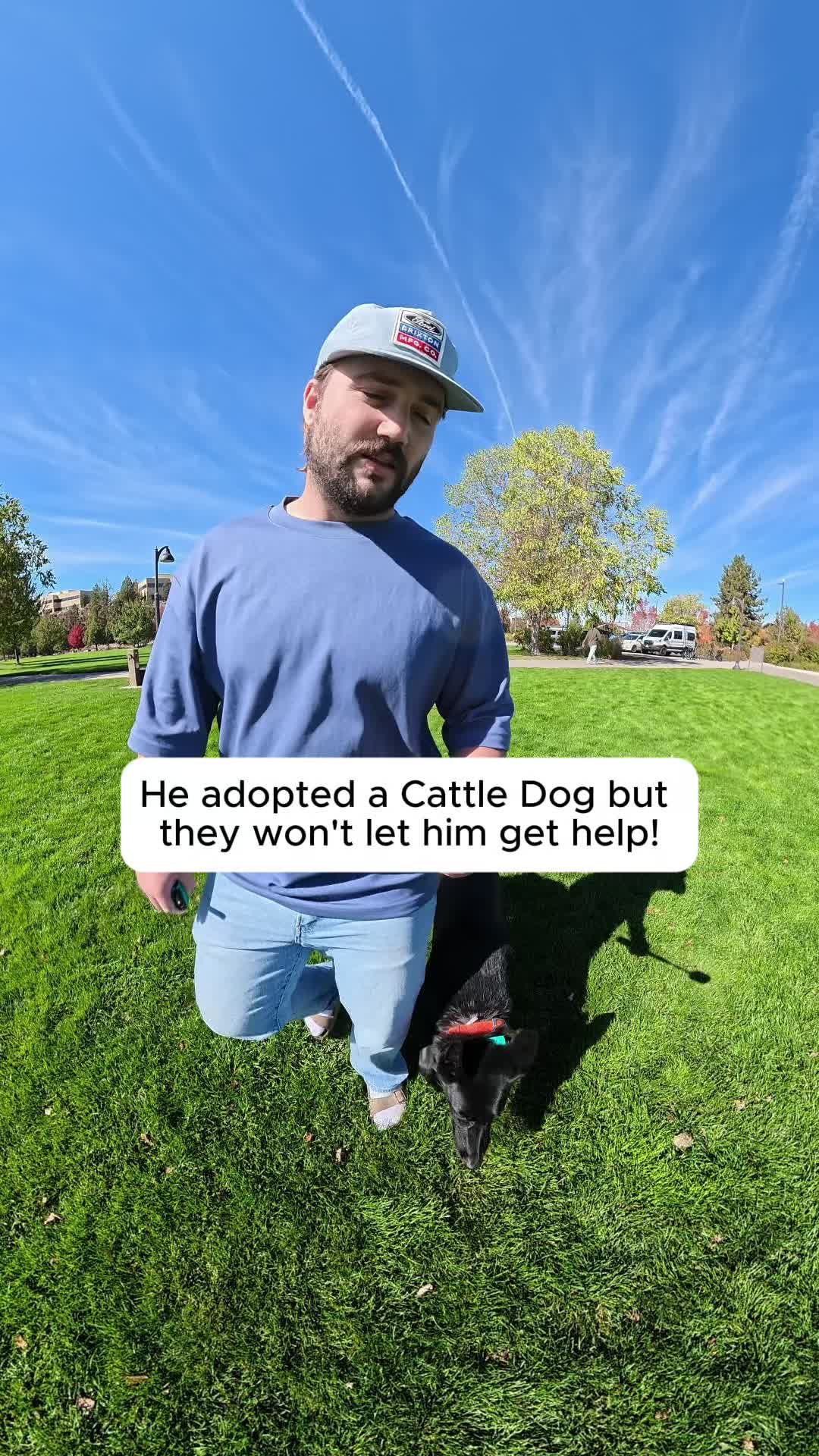 @forthedogs