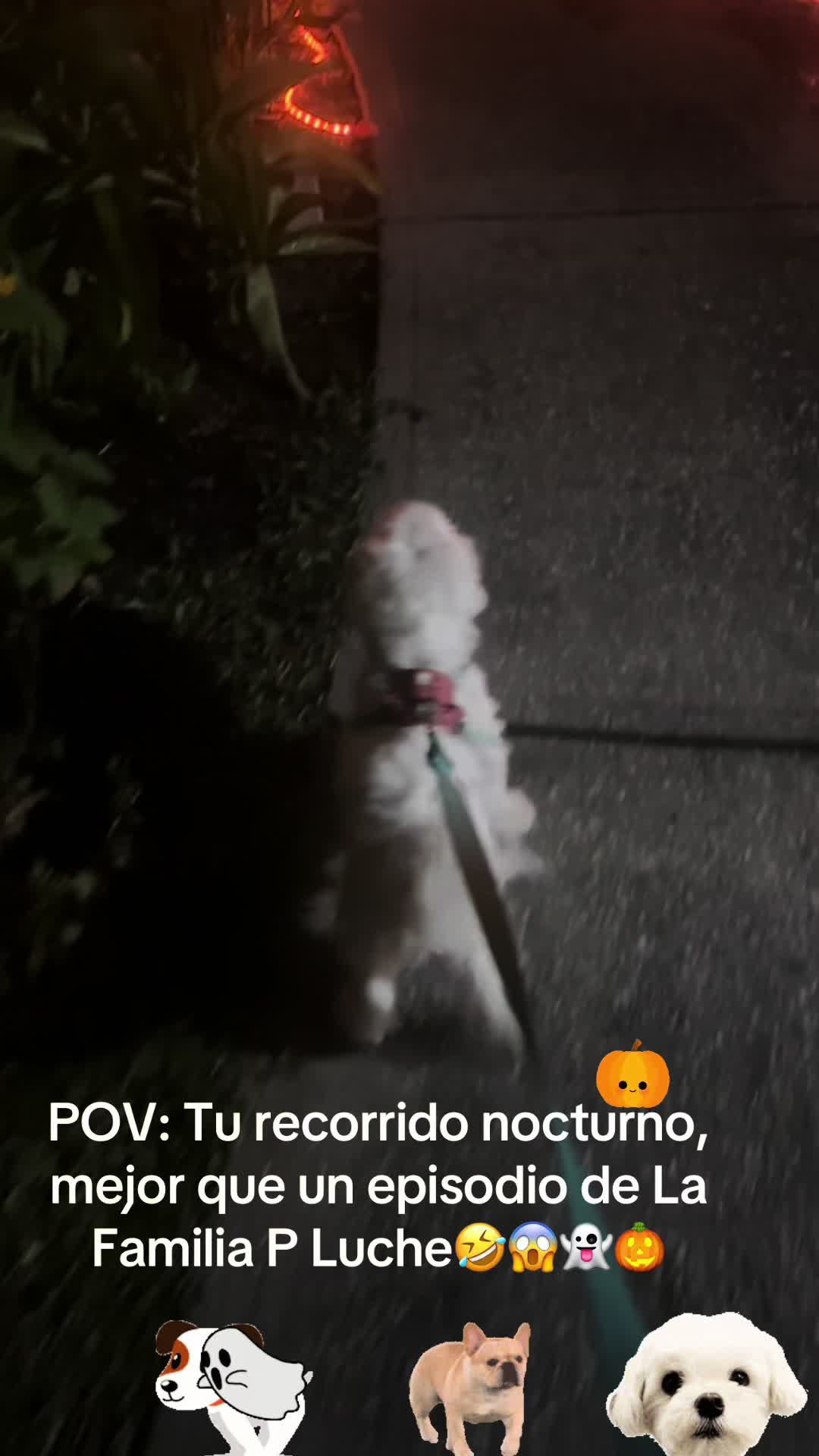 @los3huevertos