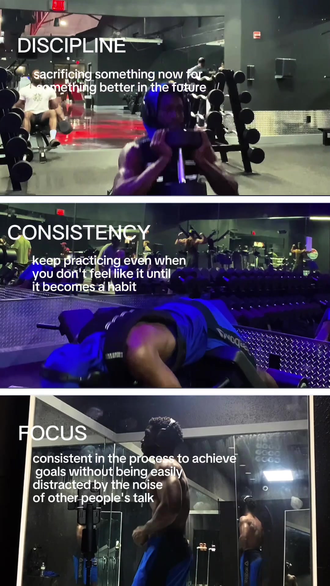 @Shreddedvessel | Fitness