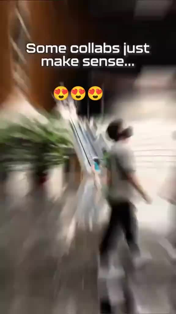 @Alan Walker Fan