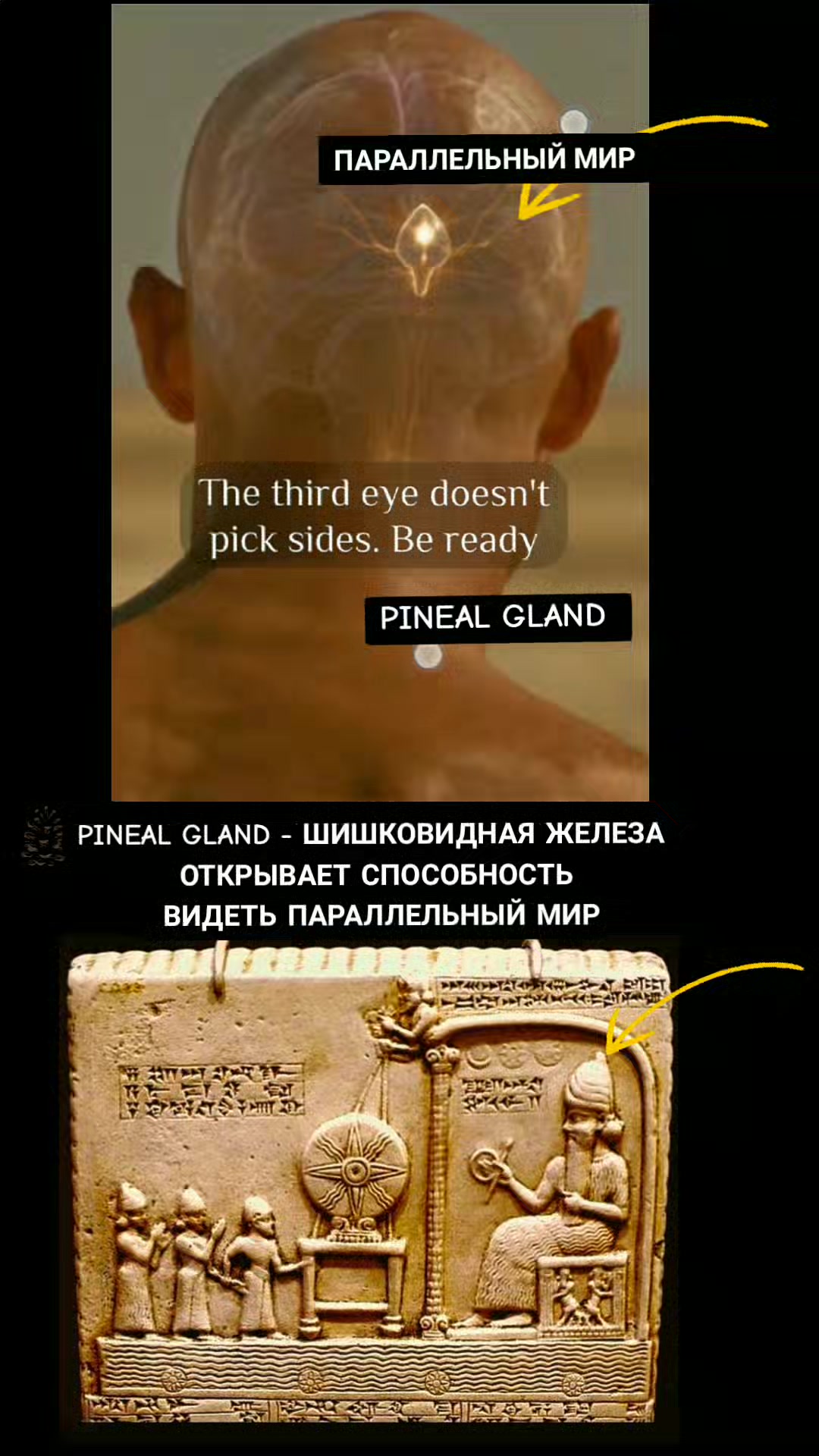 @ОЛЬГА ВЕЛЖИЧ