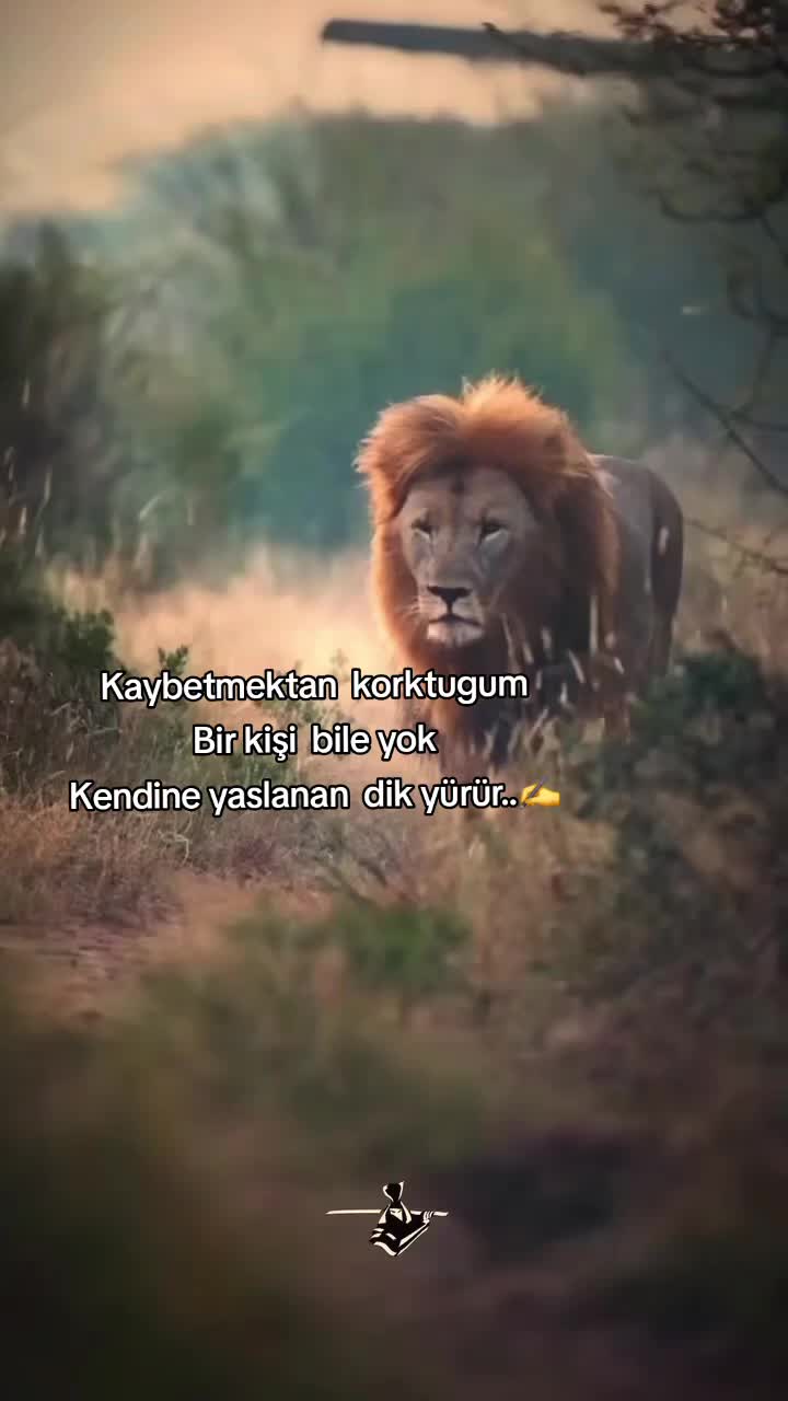 @𝐇𝐀𝐑𝐁𝐈 𝐃𝐄𝐋𝐈 𝐊𝐈𝐙🇹🇷