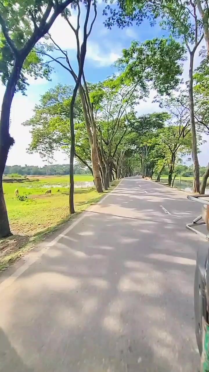 @লিজা