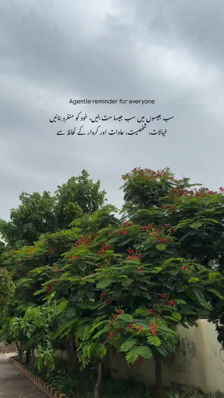 @Asad Wahla