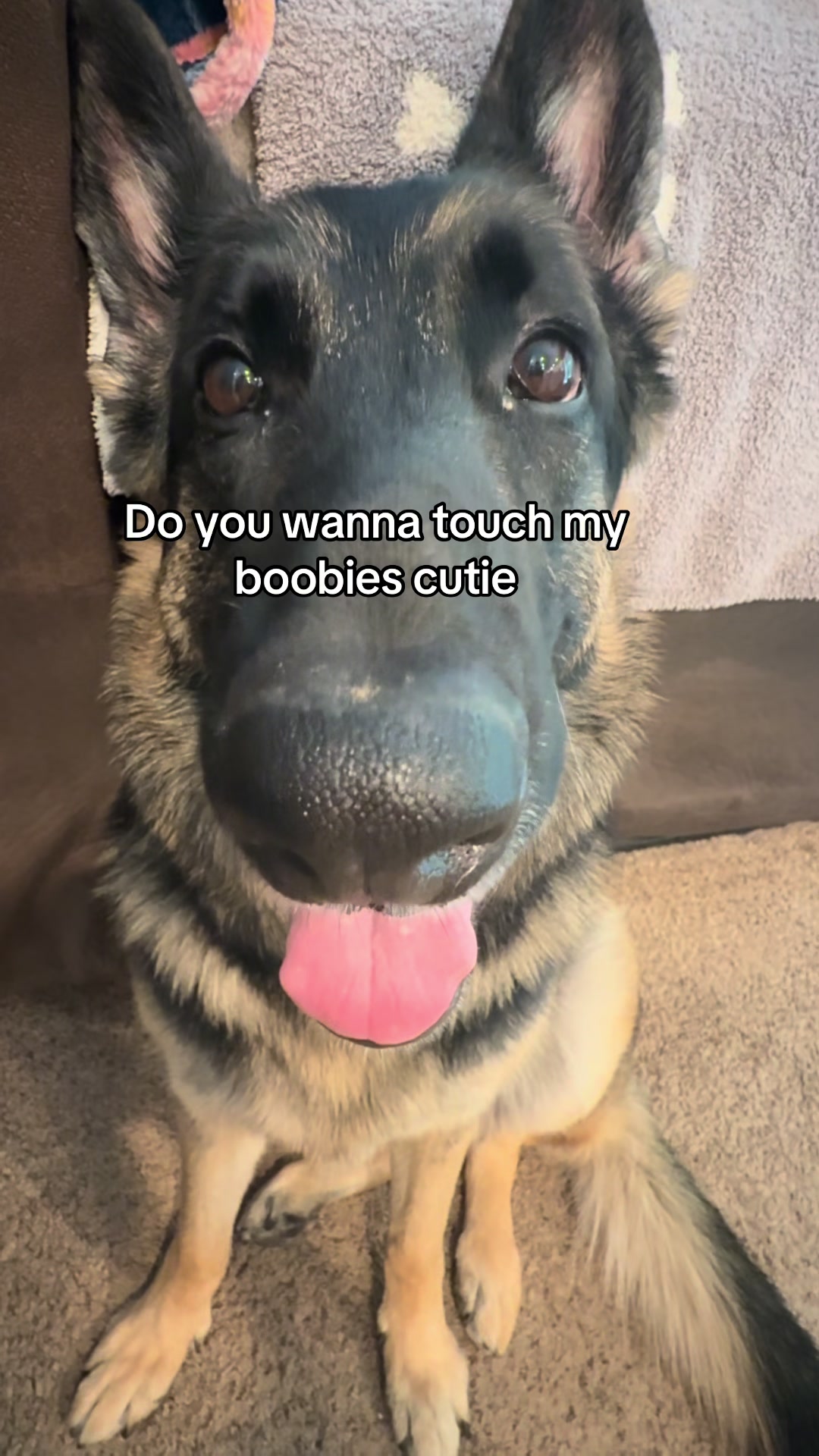 @Bhris