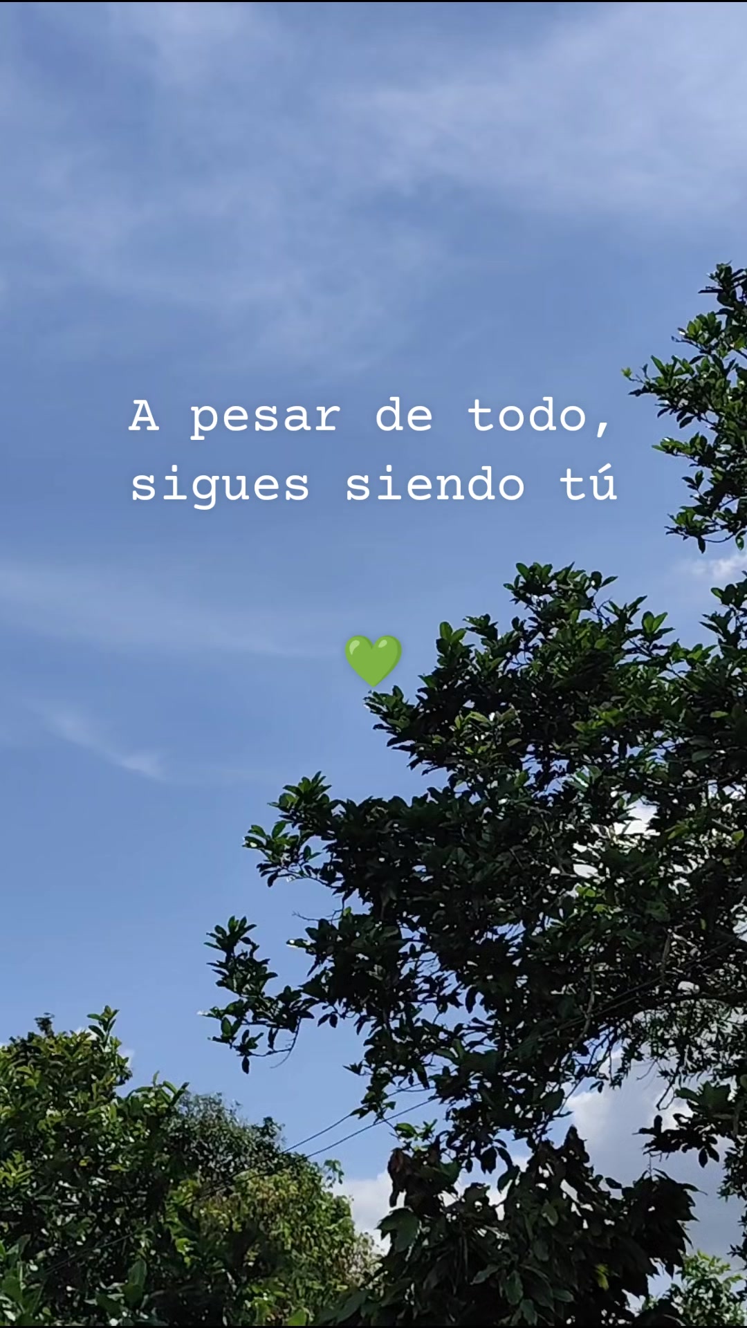 @Ifigenia
