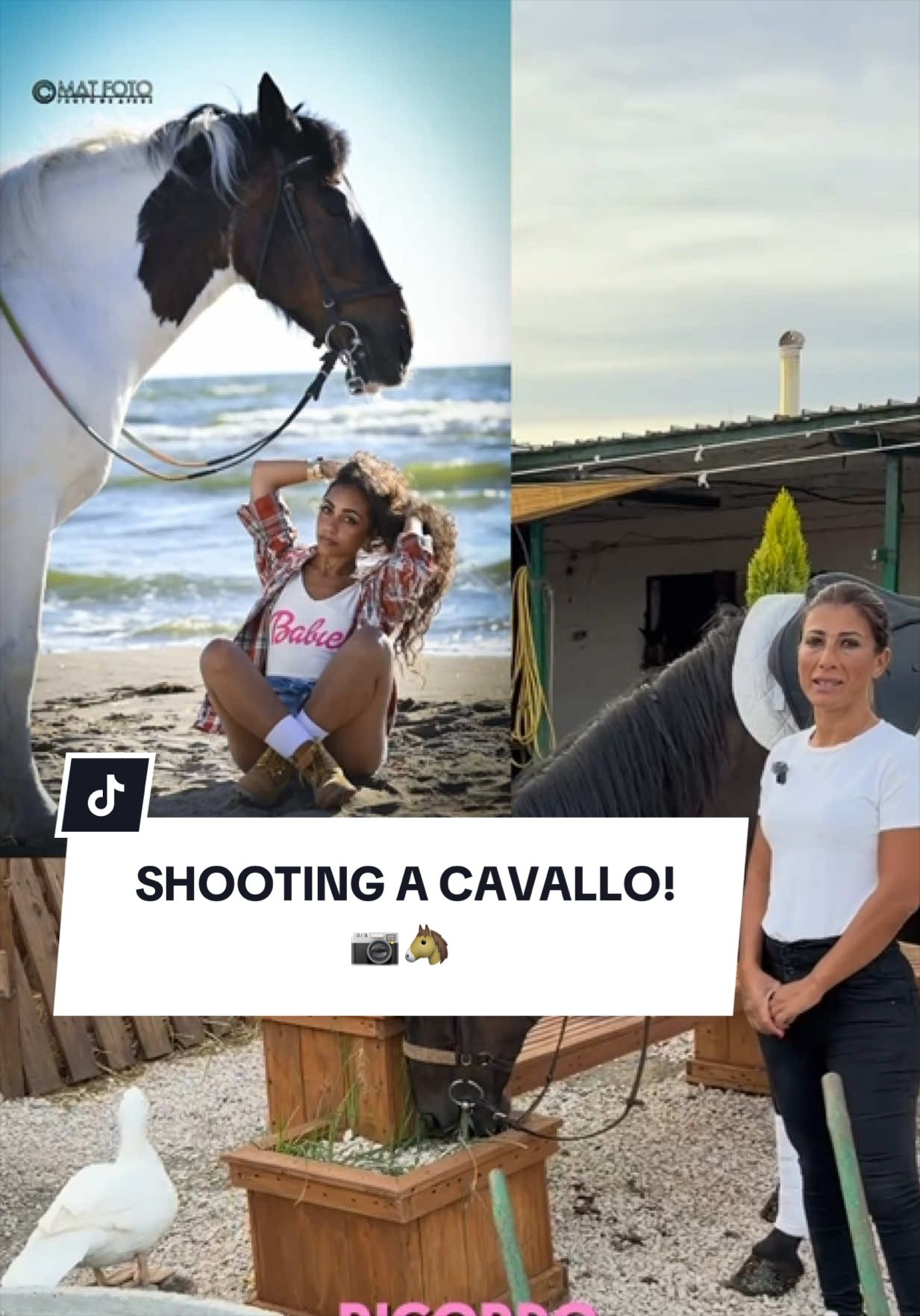 @ANGELACAPUANOHORSE