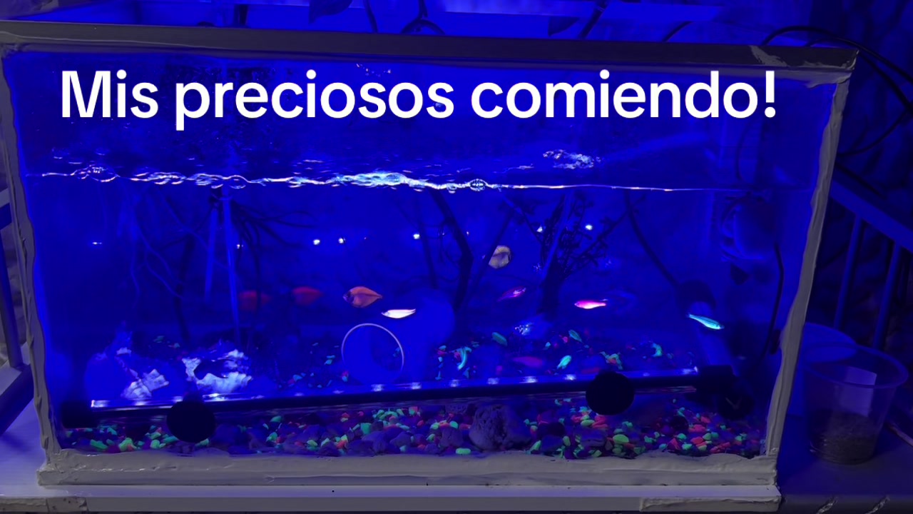 @Harrys