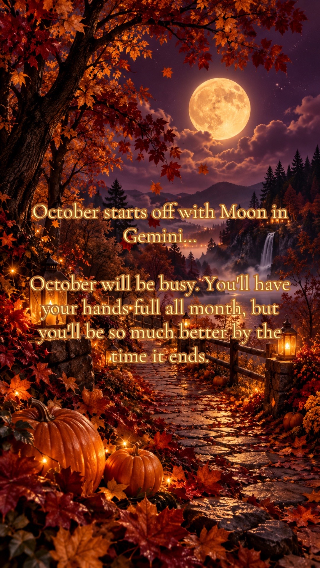 @✨✨✨