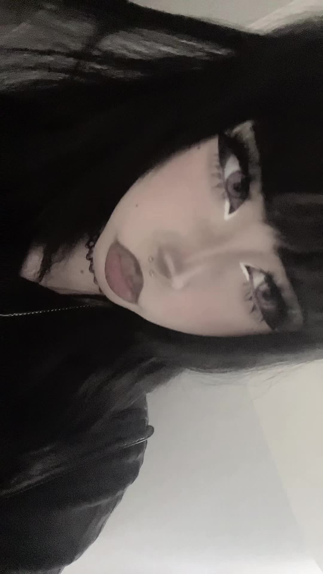 @૮₍  ˶&bull;⤙&bull;˶ ₎ა