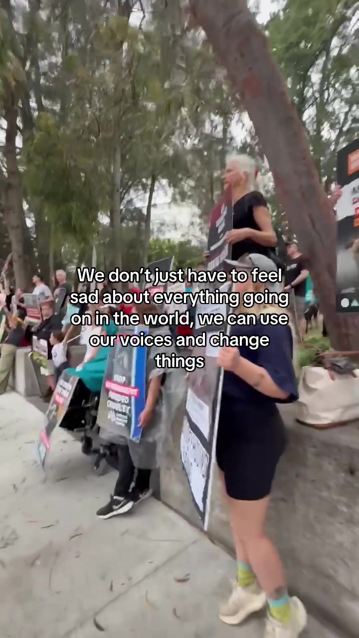@Animal Justice Party NSW