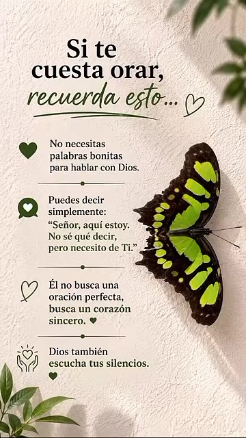 @🙏🙏alabanzas a mi Dios🙏🙏