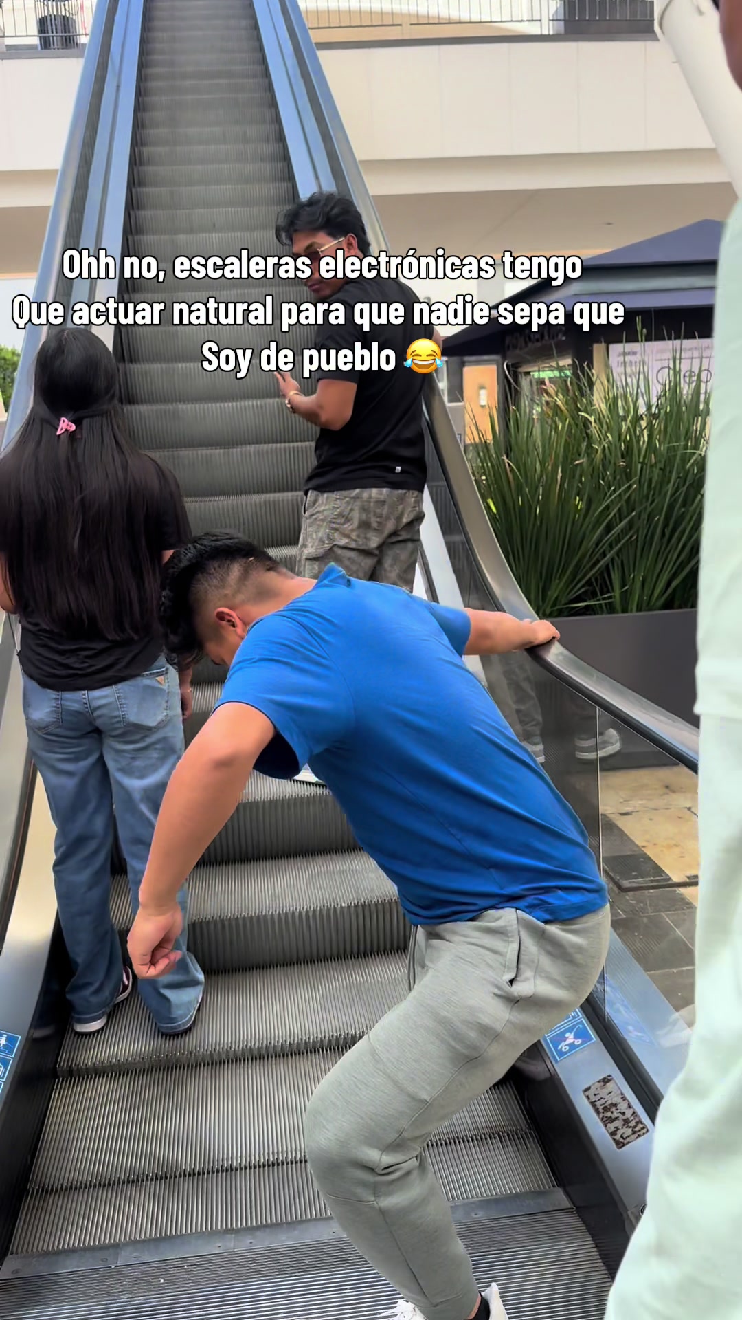 @Noelia