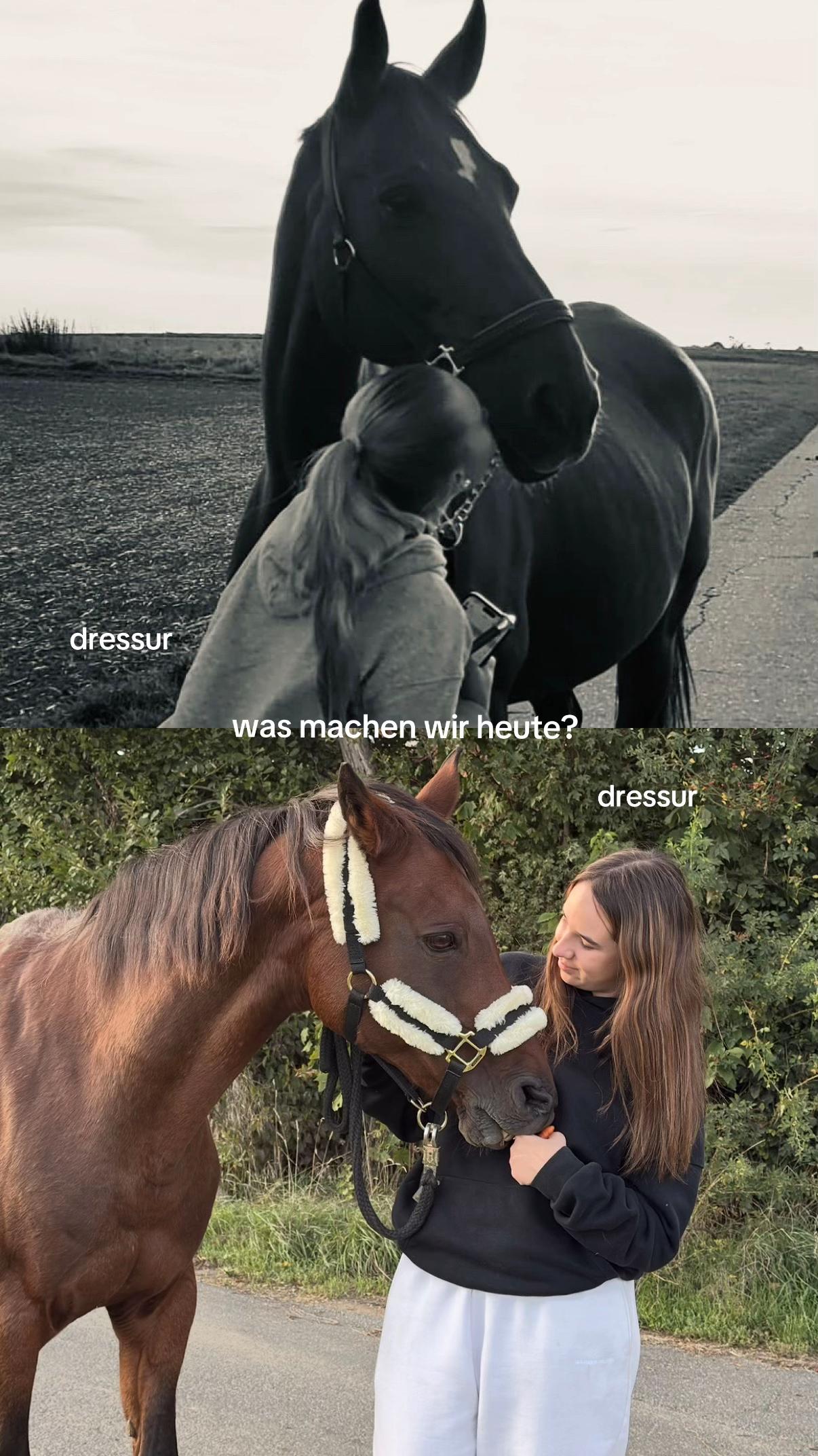 @𝑳𝑬𝑶𝑵𝑰𝑬