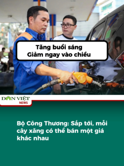 @D&acirc;n Việt Viral