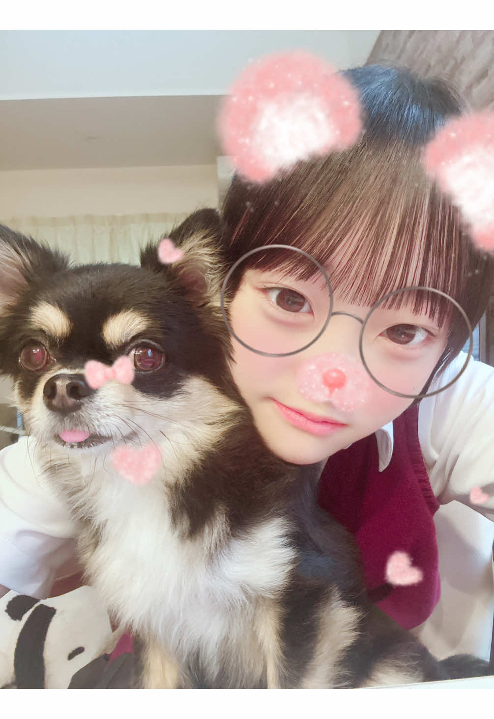 @あっぴ🐶💖🎶