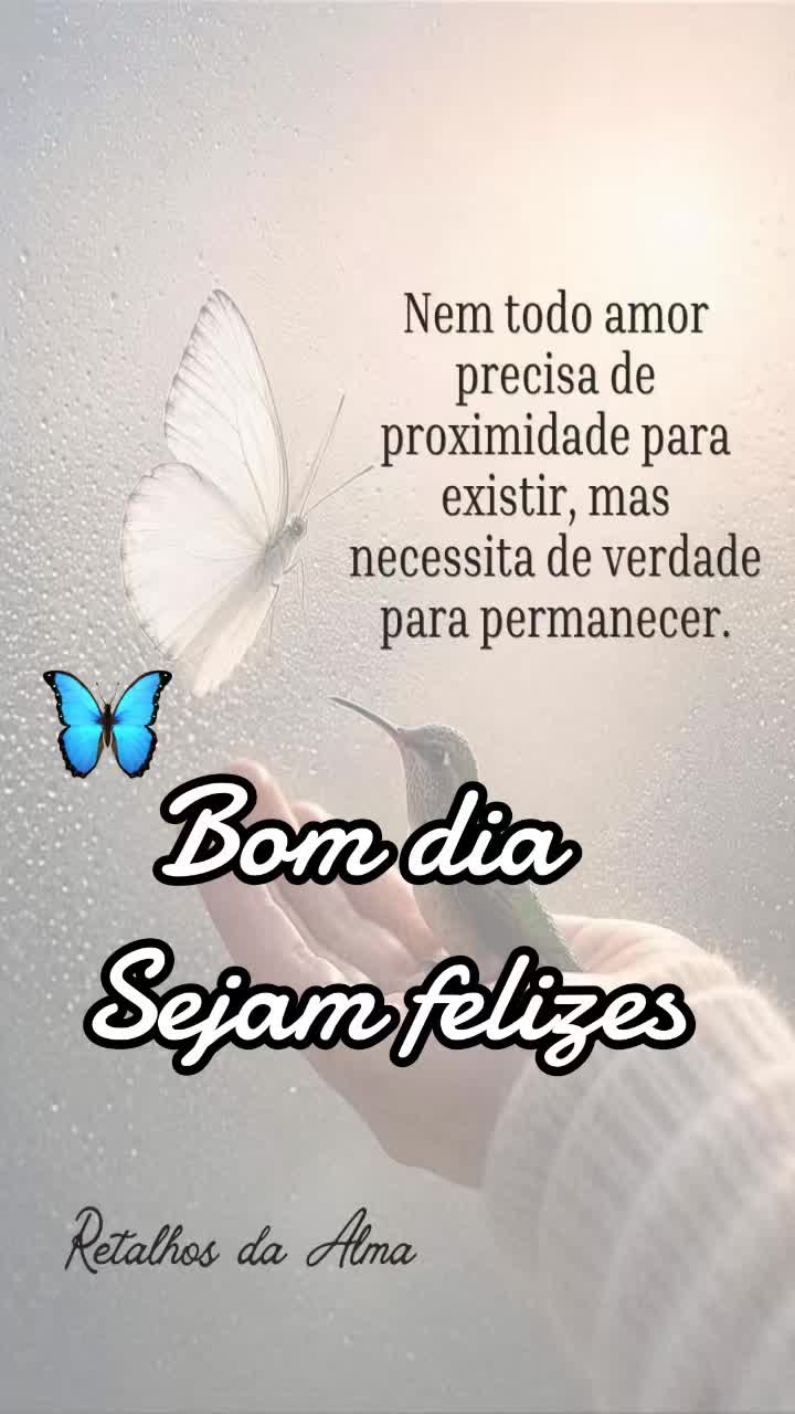 @borboleta2867
