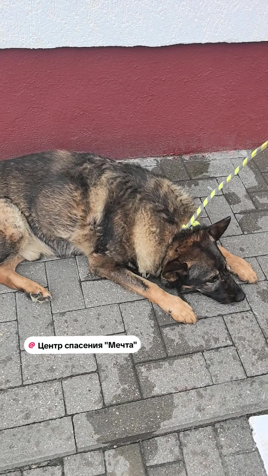 @Слава