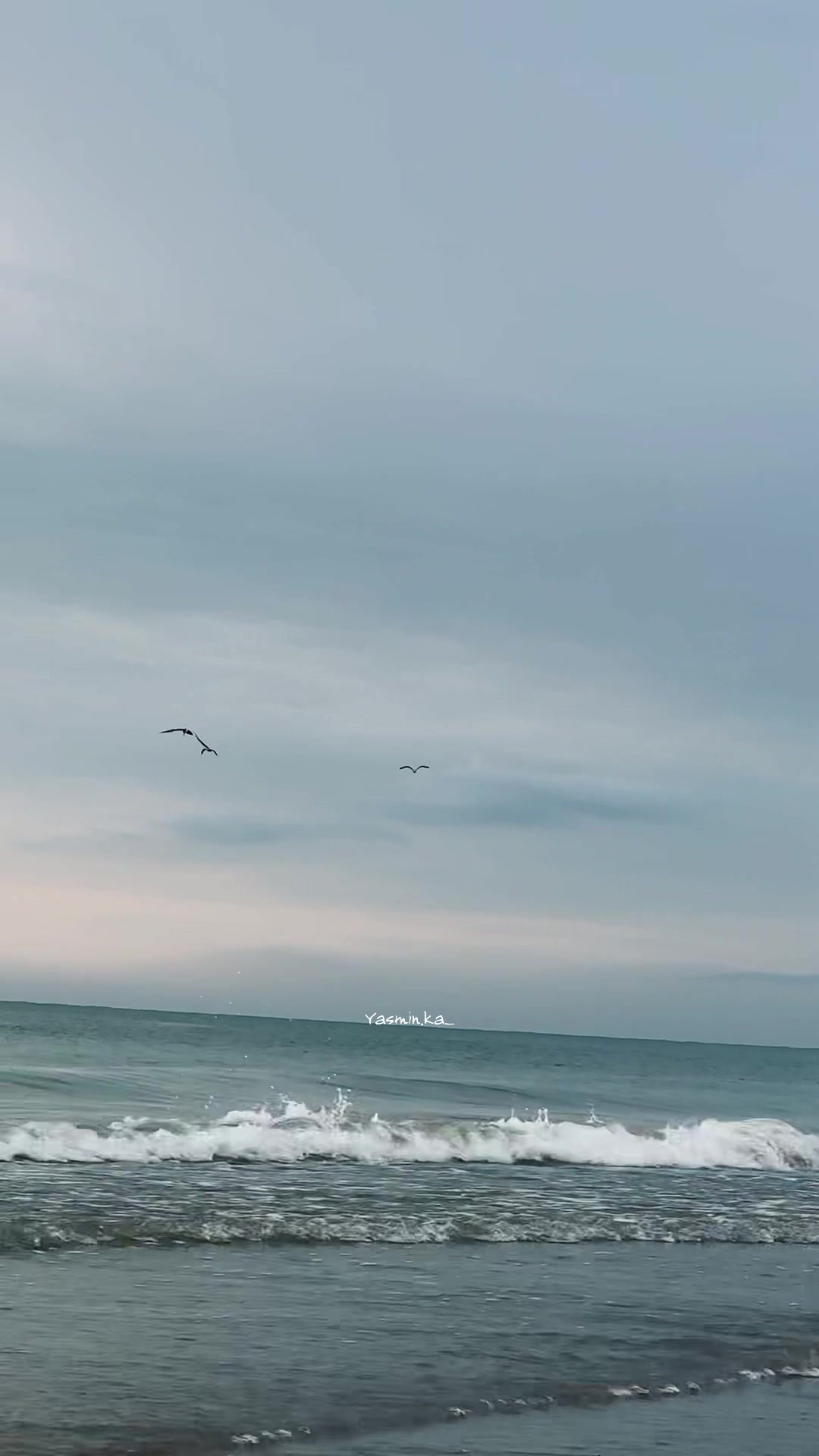 @ℍ𝕒𝕡𝕡𝕪 𝕨𝕠𝕞𝕒𝕟 🤍
