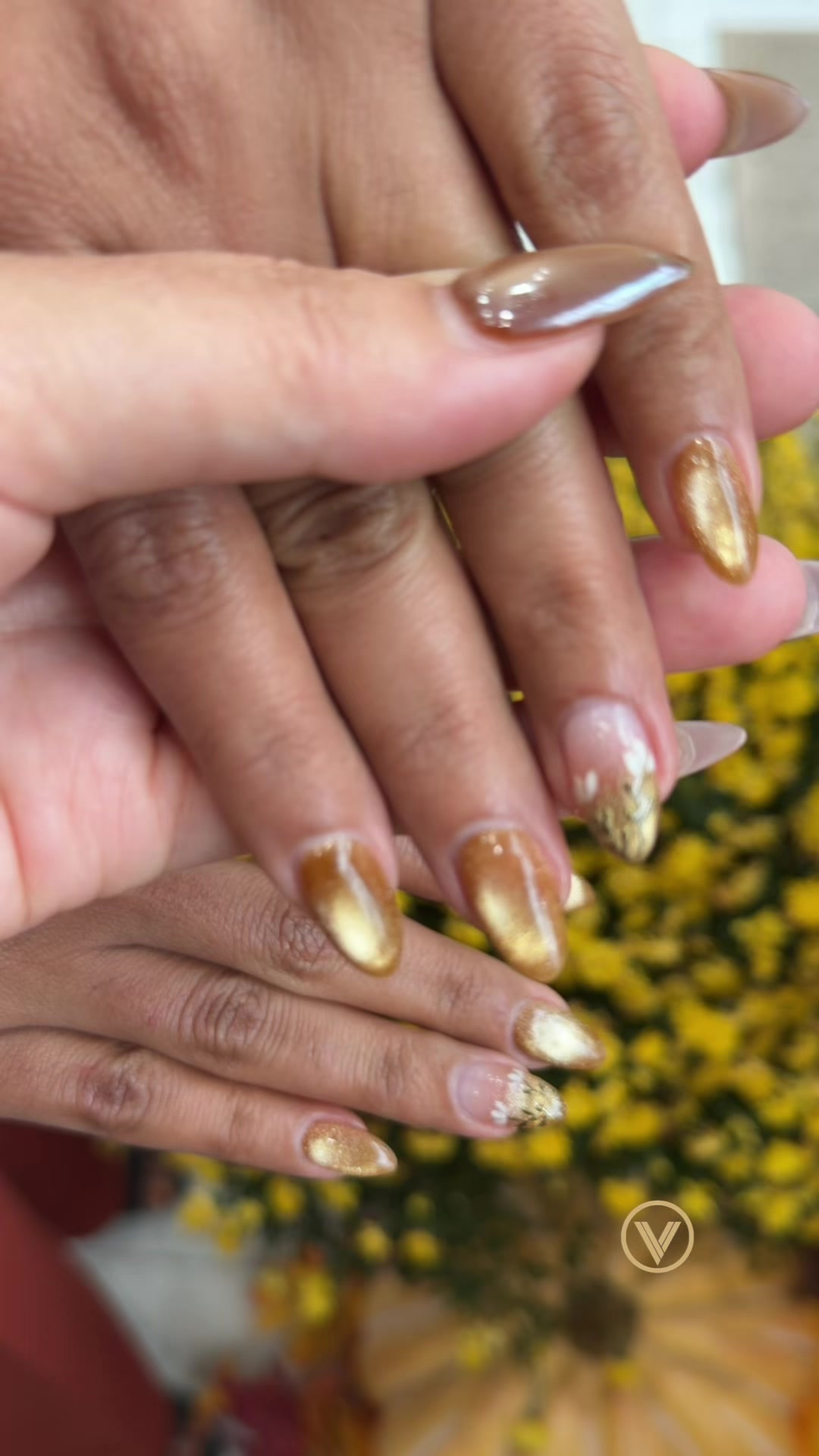 @velvet nails kw