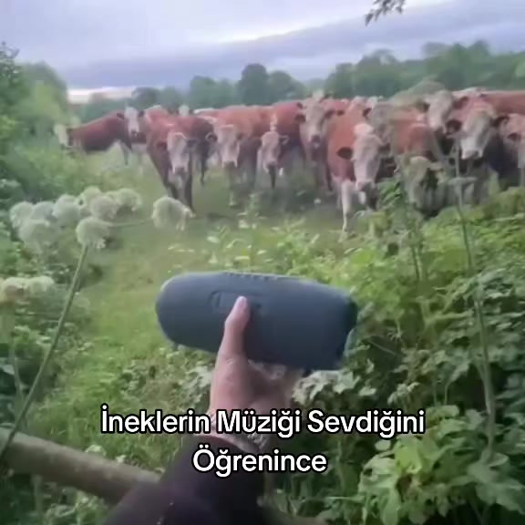 @Furkann27