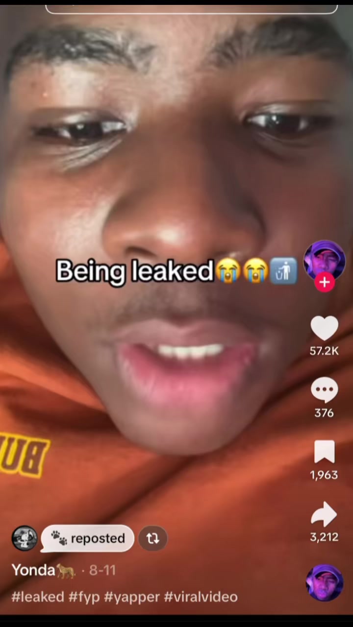 @🫆T Ẽ B Ũ H &Otilde; 👣