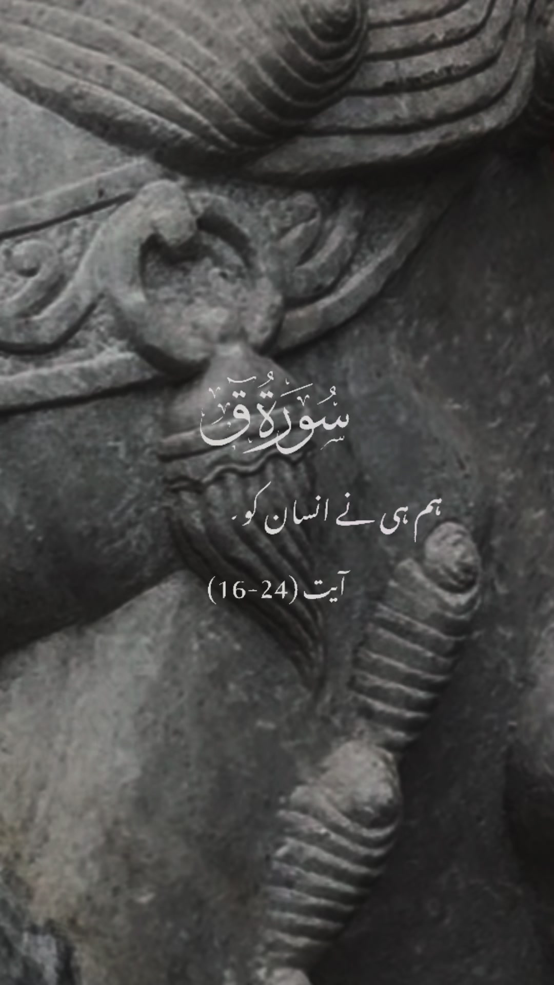 @maqrafiq
