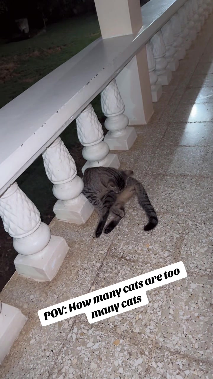 @Sabrena👑❤️