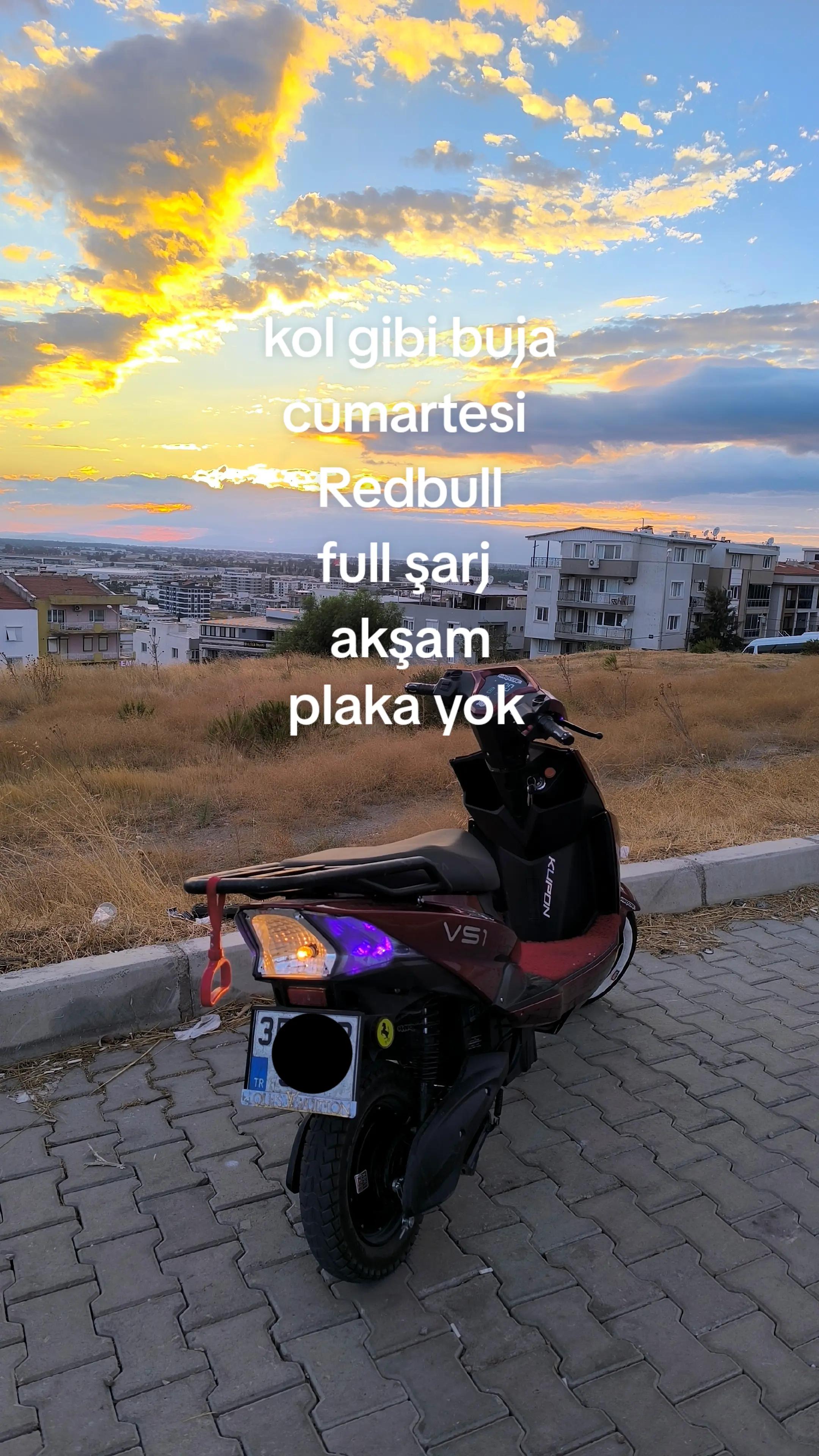 @selim sarıyiğit