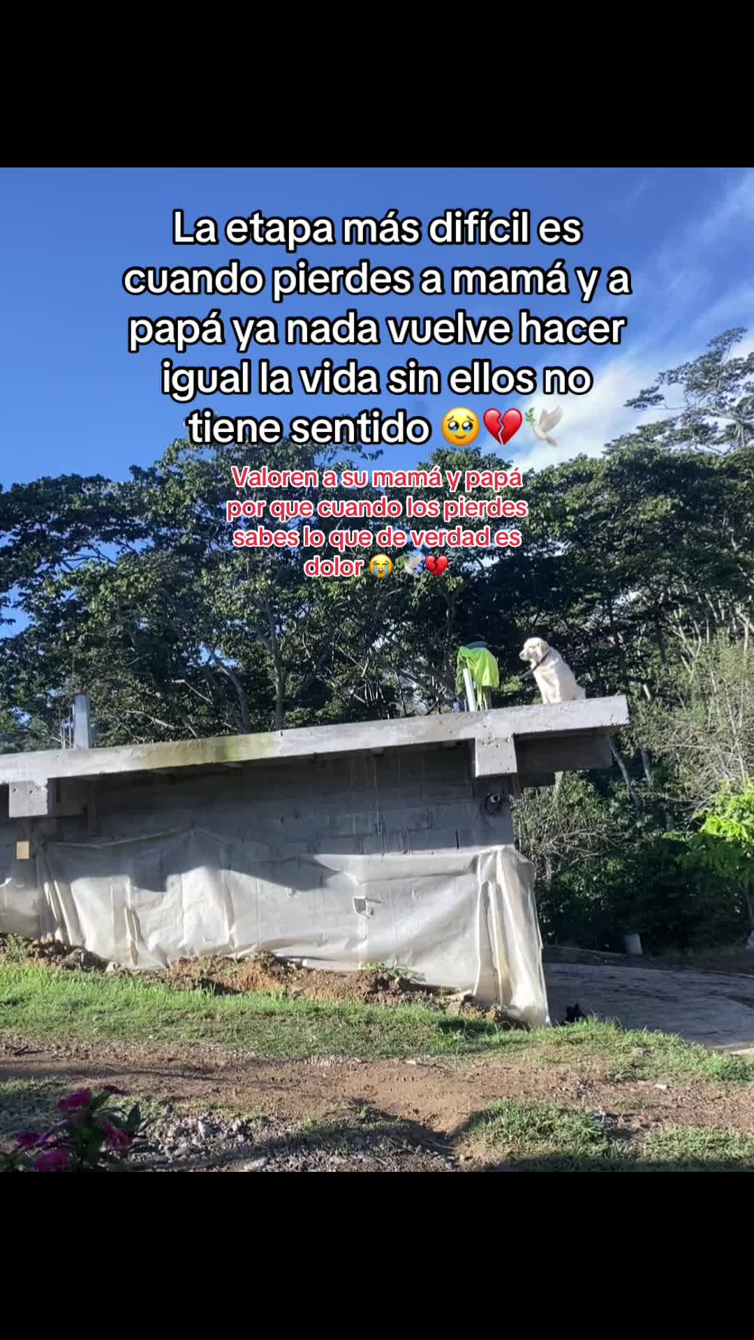 @NoheliA Mej&iacute;a 🌵🎈