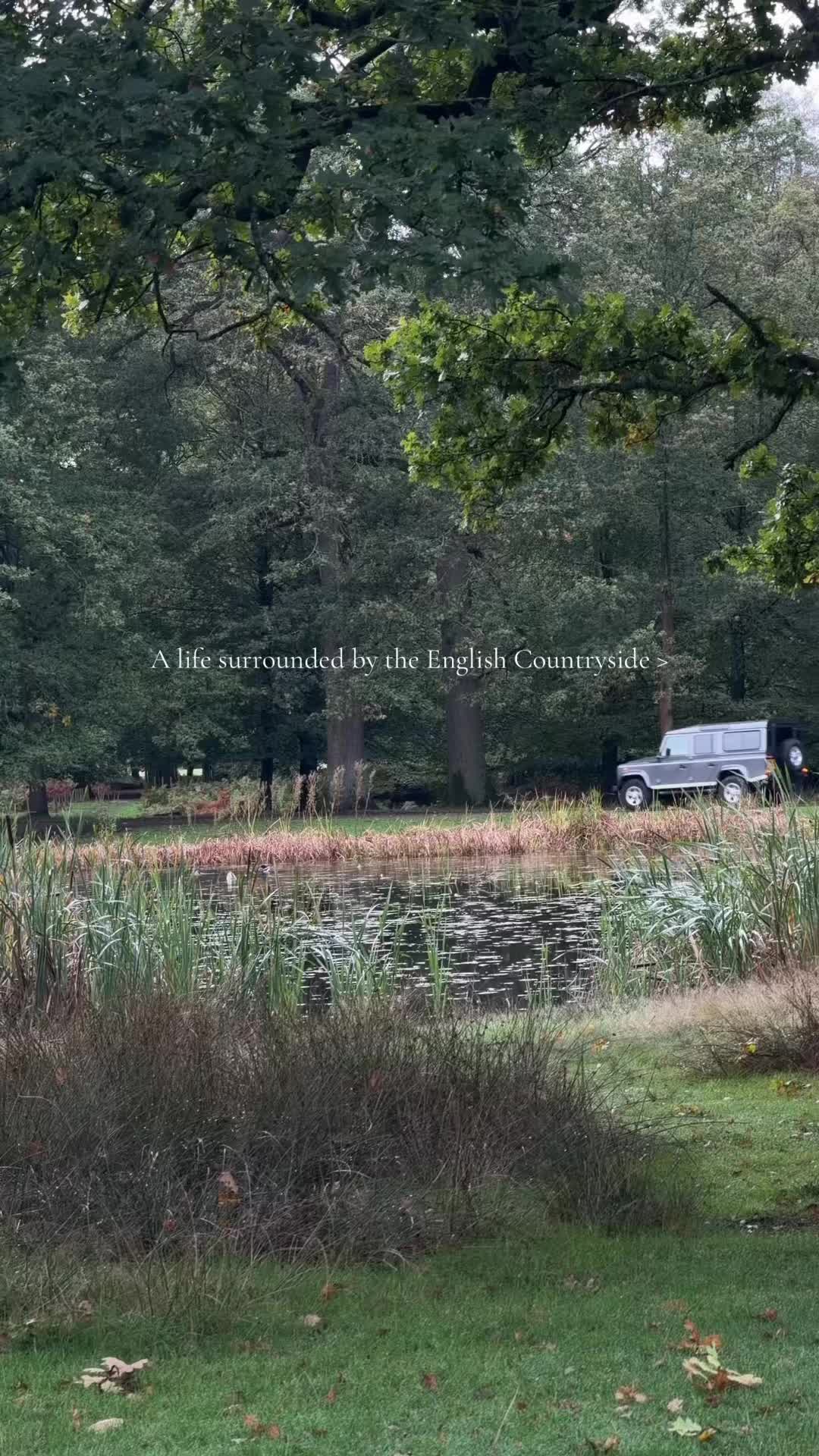 @lifelunaandlandscapes