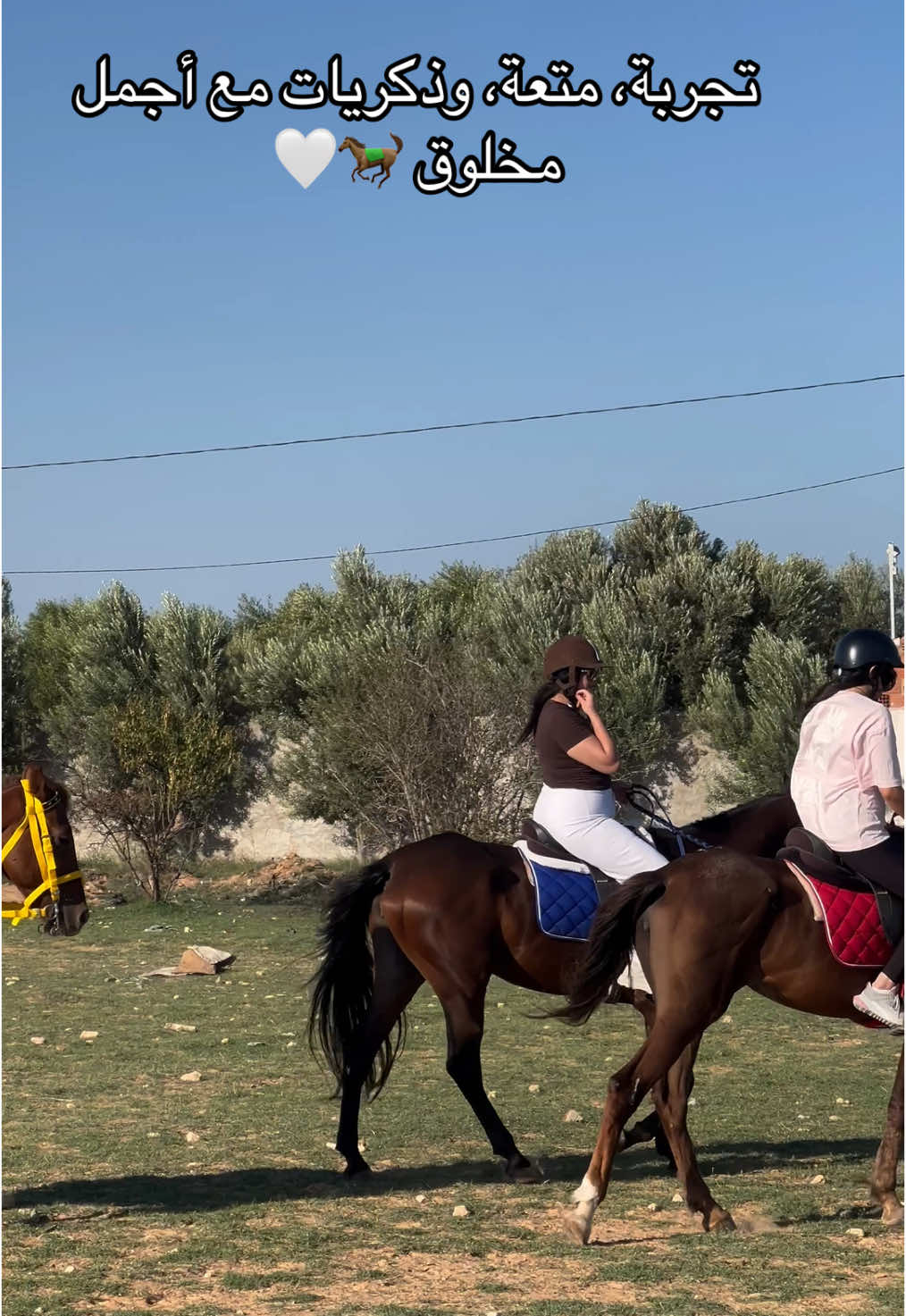 @Feres Ben Amor 🏇