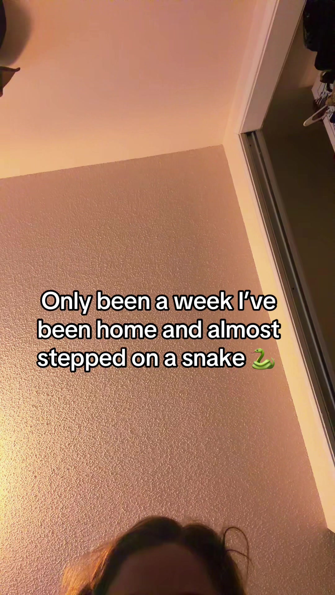 @dailyd0seofmk