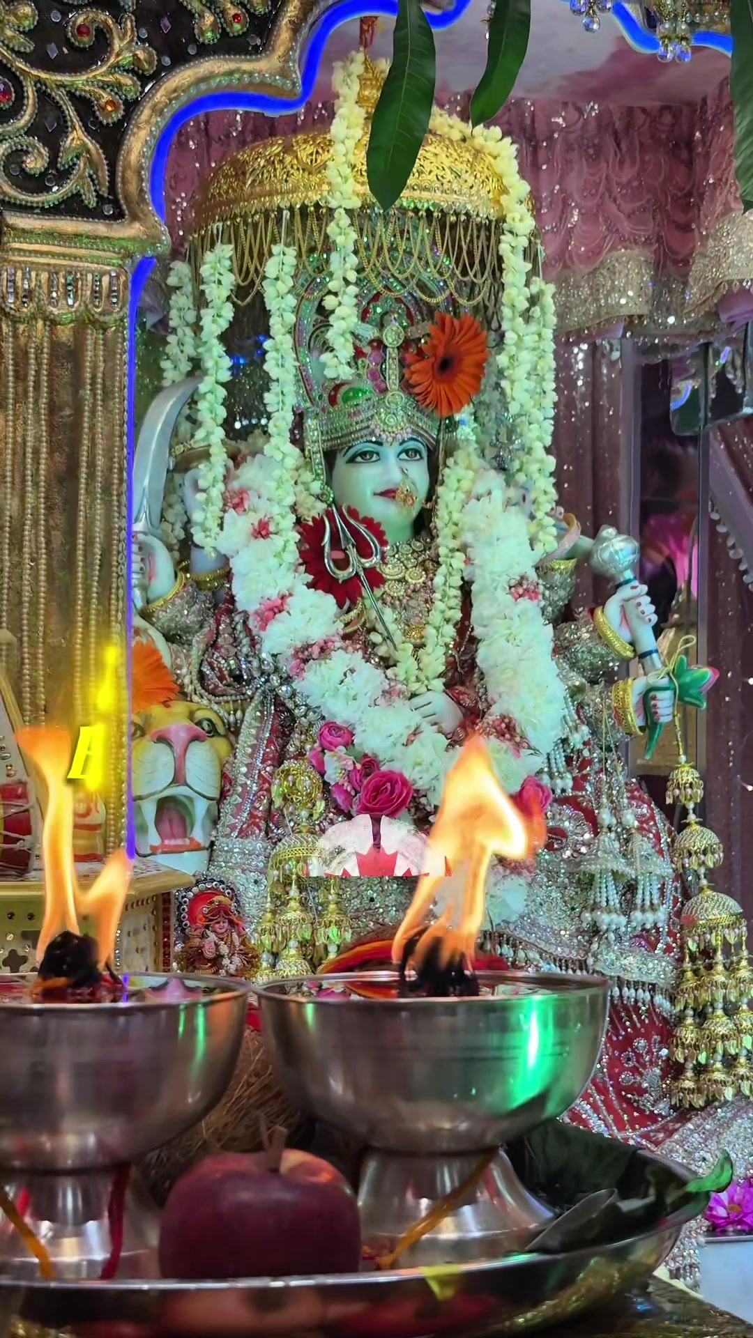 @Sarav Sanjha Darbar