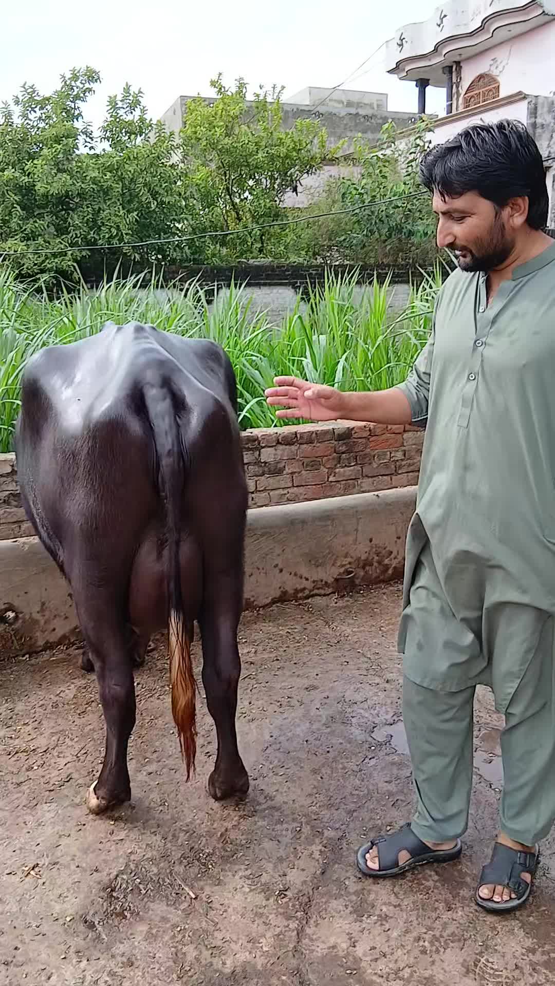 @Farming and Business Ideas
