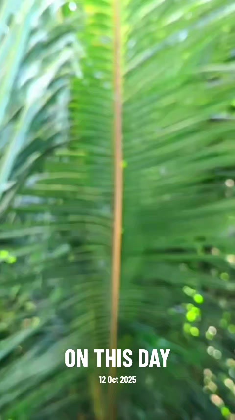 @muj627
