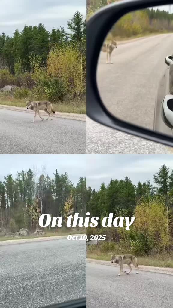 @_thunder_child_