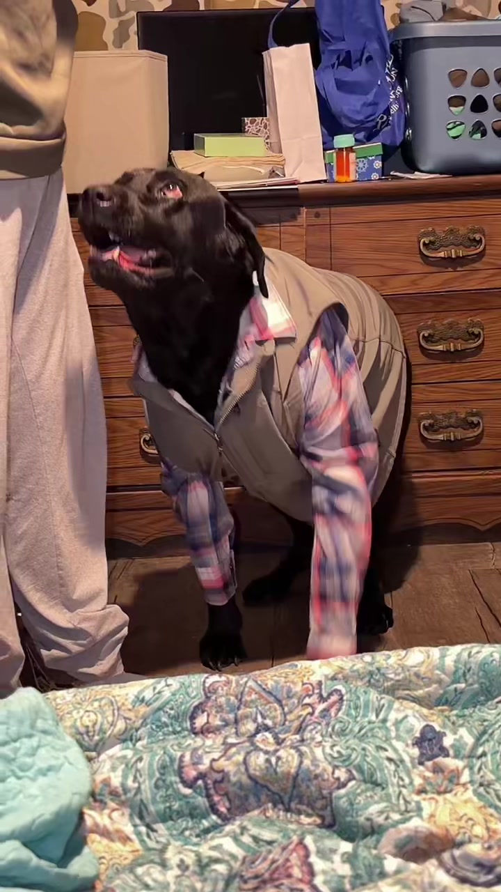 @Shay 🫶
